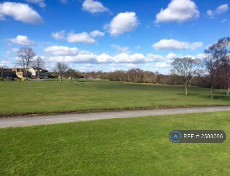 View From The Lounge