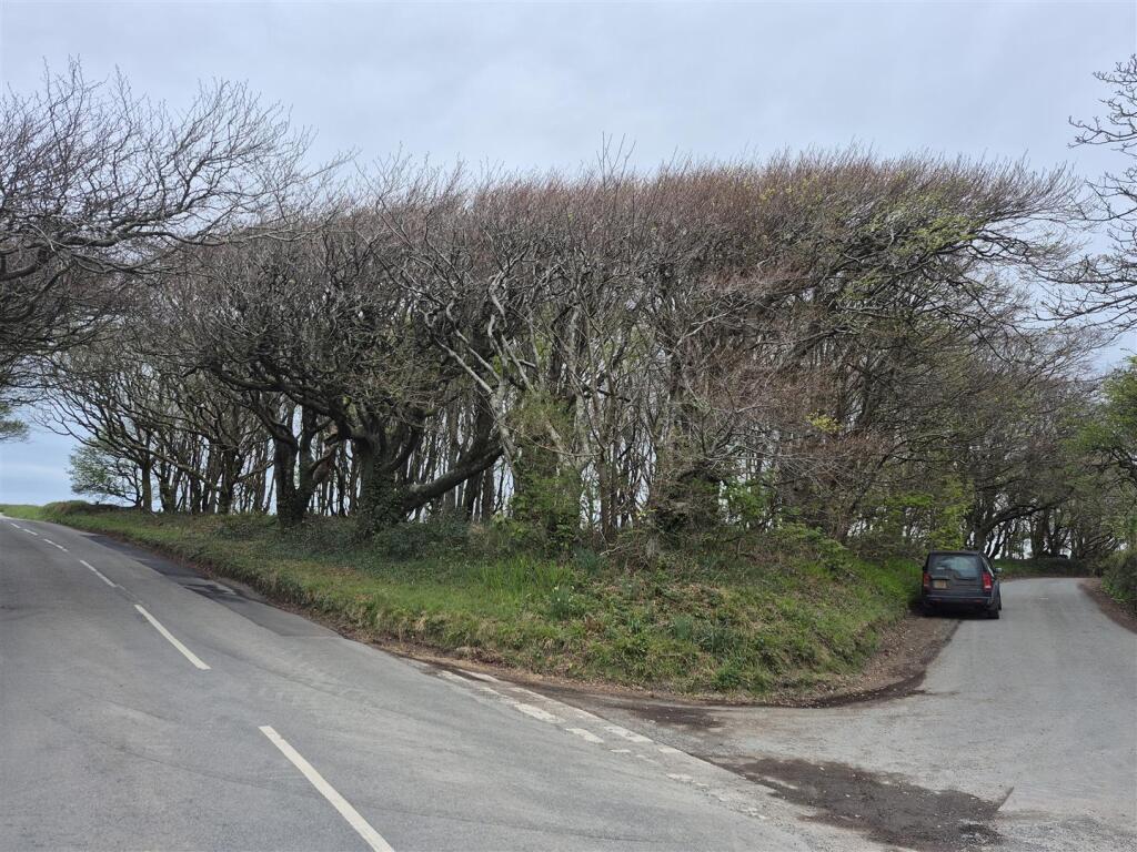 2025-04-13 13.01.29.jpg