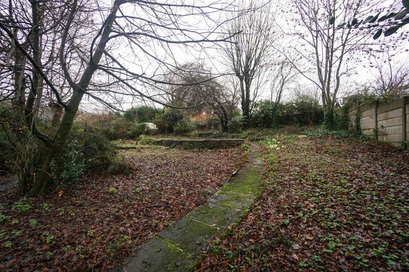 Photo 24