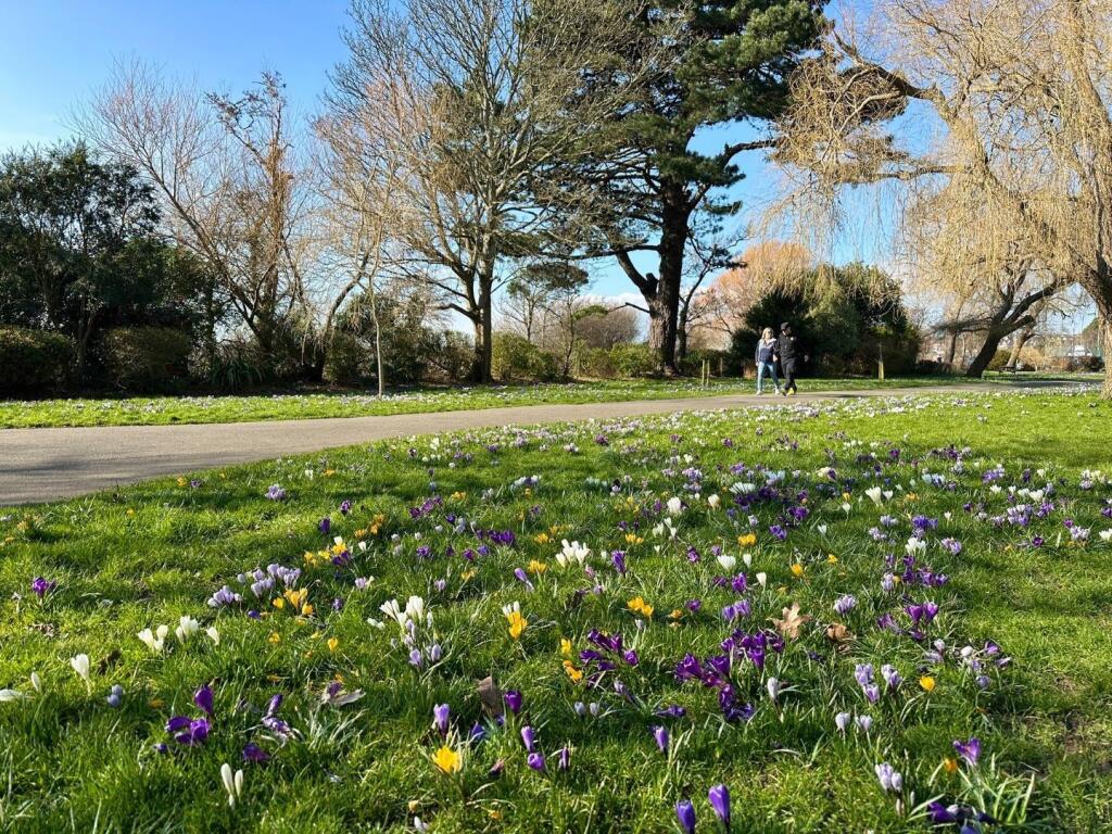 radipole gardens.jpg