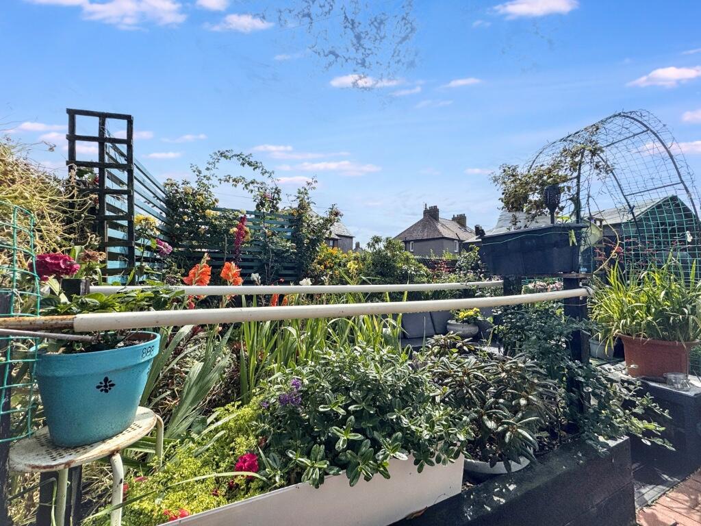 Rear garden.