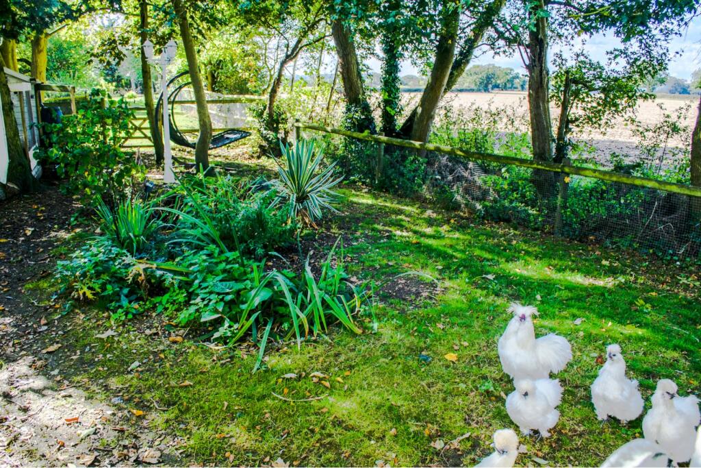 Side Garden