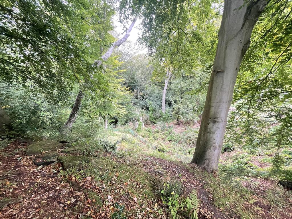 Photo 06-10-2025, 09 36 44.jpg