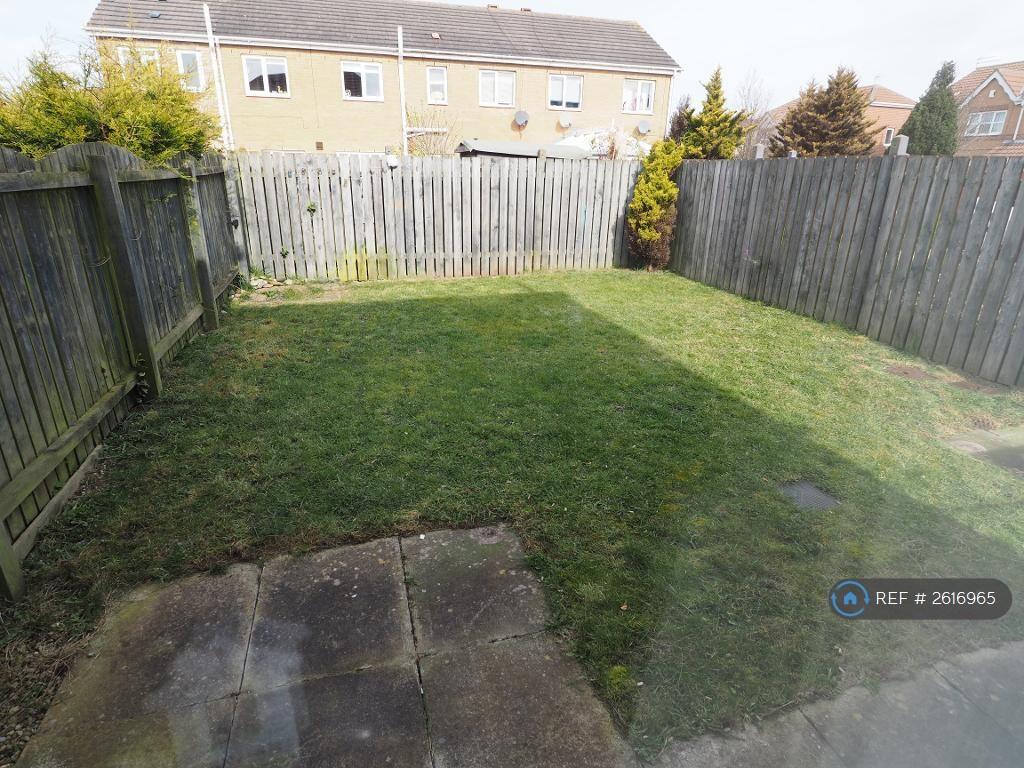 Back Garden