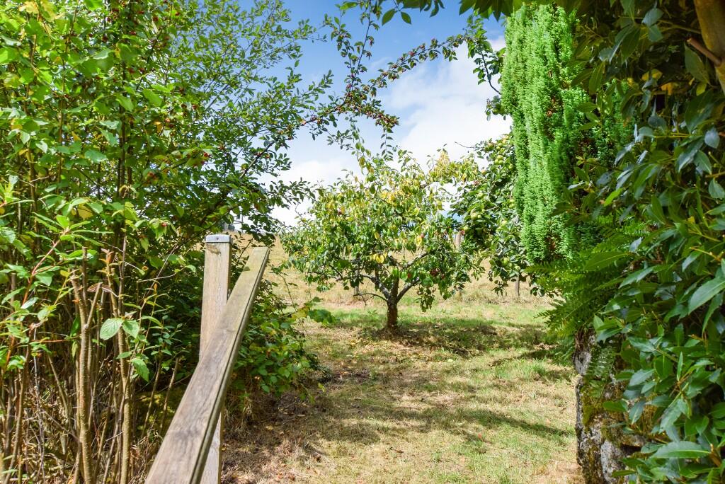Orchard