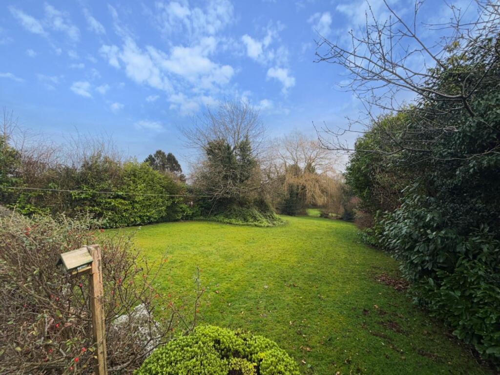 9017056-101686-133818656231639406-c61ac9d0-c618-b6