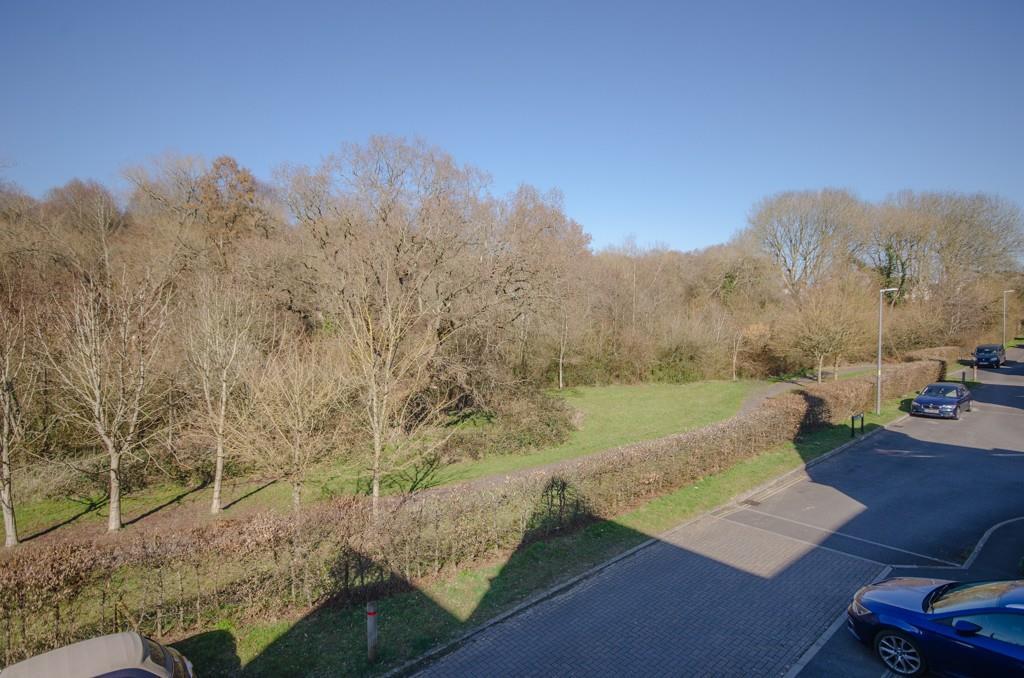 Front view pic 2.jpg