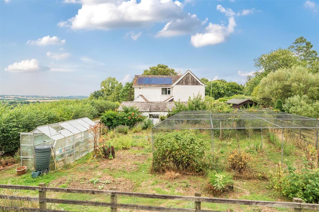 Vegetable / Fruit Garden