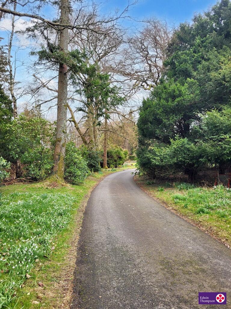 Driveway