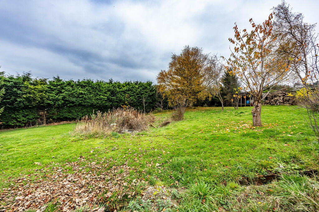 NHElland-061124-6...