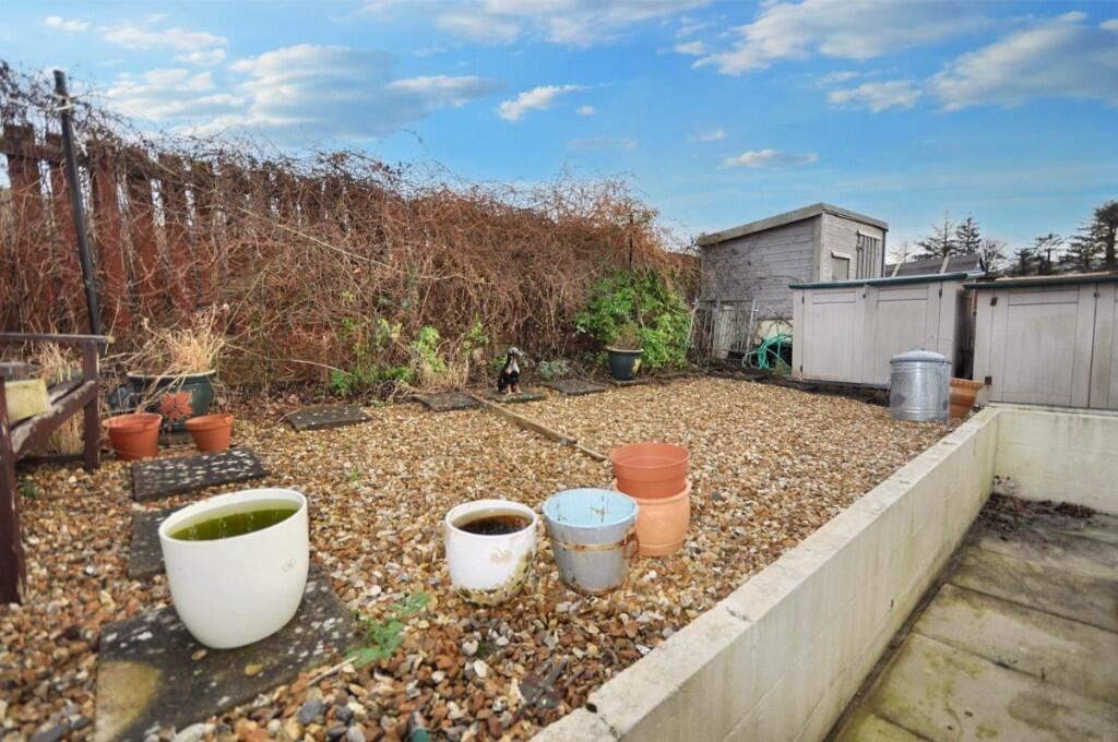 Back Garden