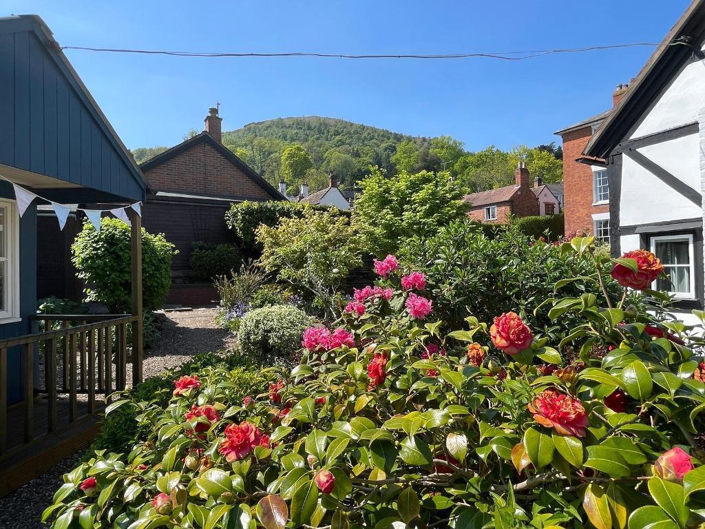 Lovely view of the Malvern Hills