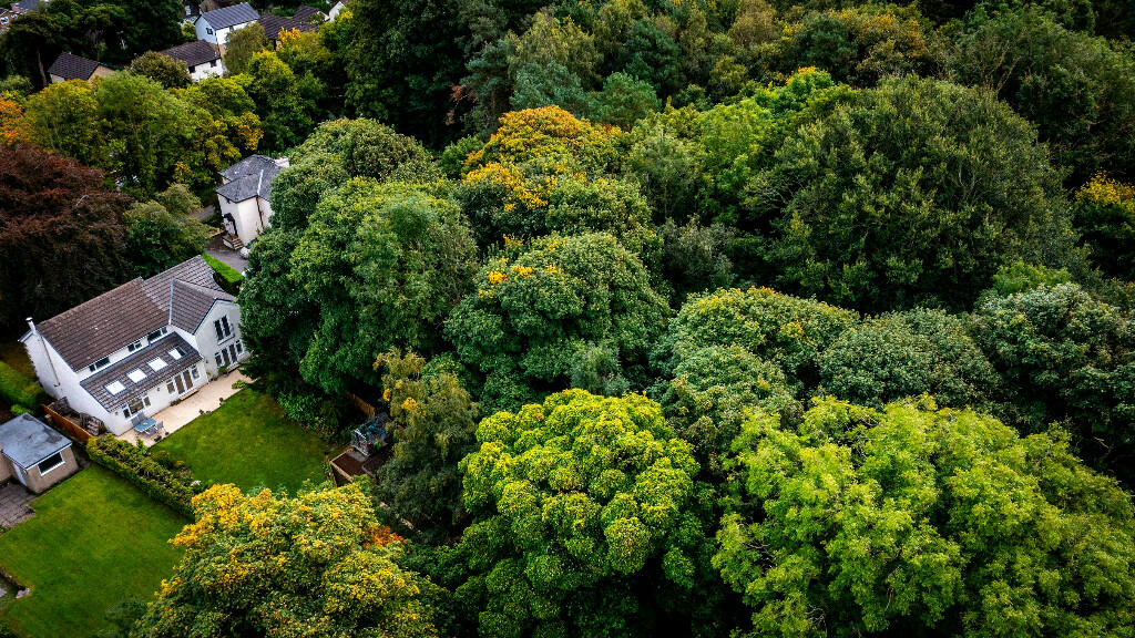 Rear Garden Overview