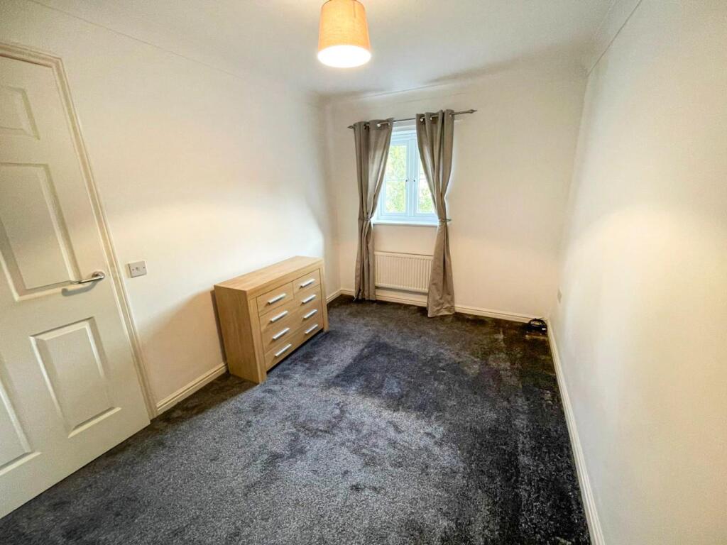 tlc_562e7208-7295-4751-8d55-499f61da0102_38fedfe.j