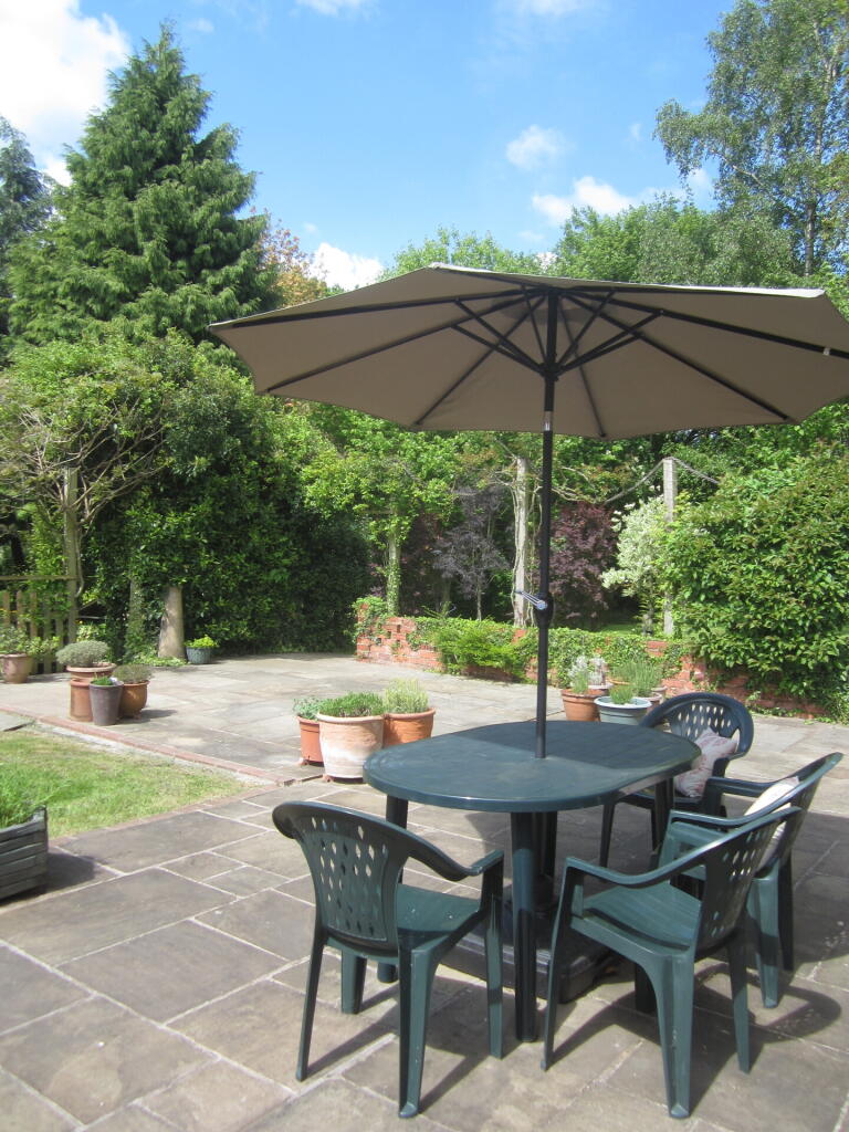 Patio Area