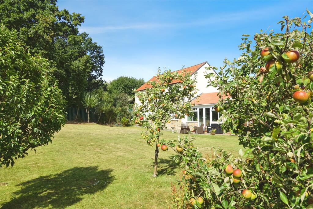 Garden/Rear Elevatio