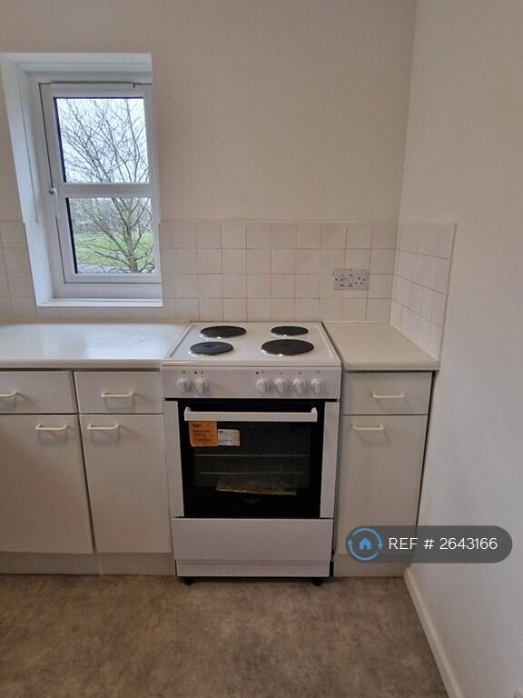 Electric Oven