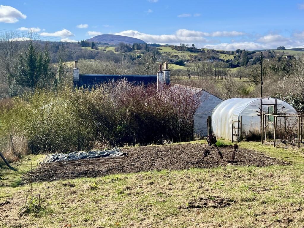 Mavis Grove, Balmaclellan, Castle Douglas - Willia