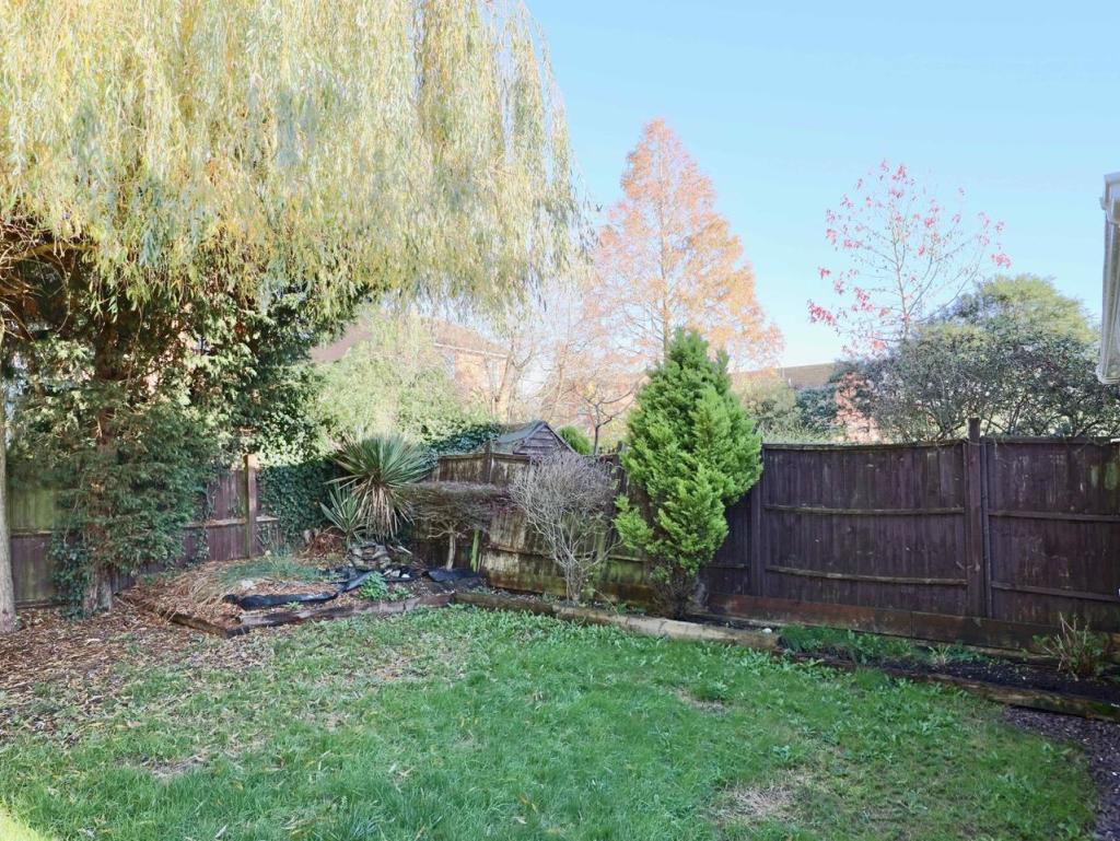 garden.jpg