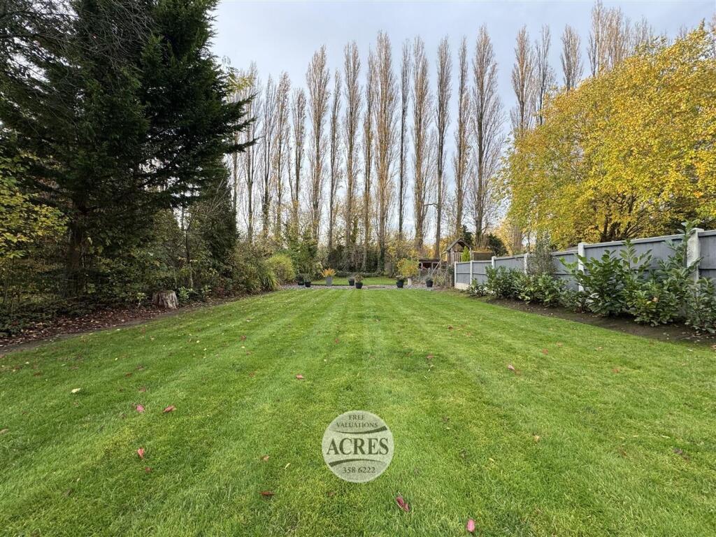 IMG_7238 (Large).jpg