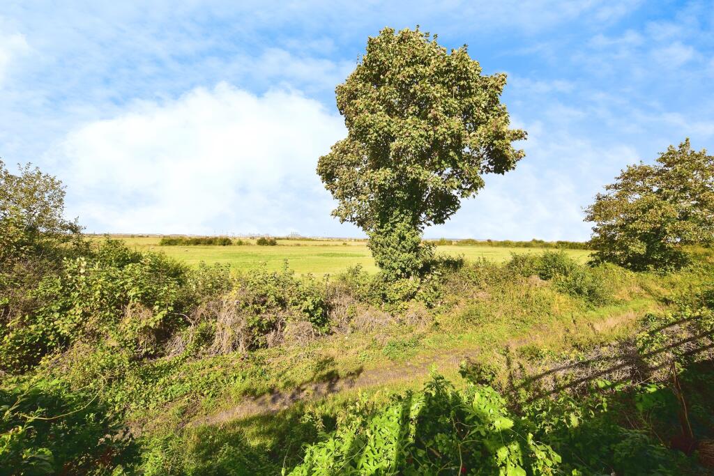Views Of The Thames Marshes