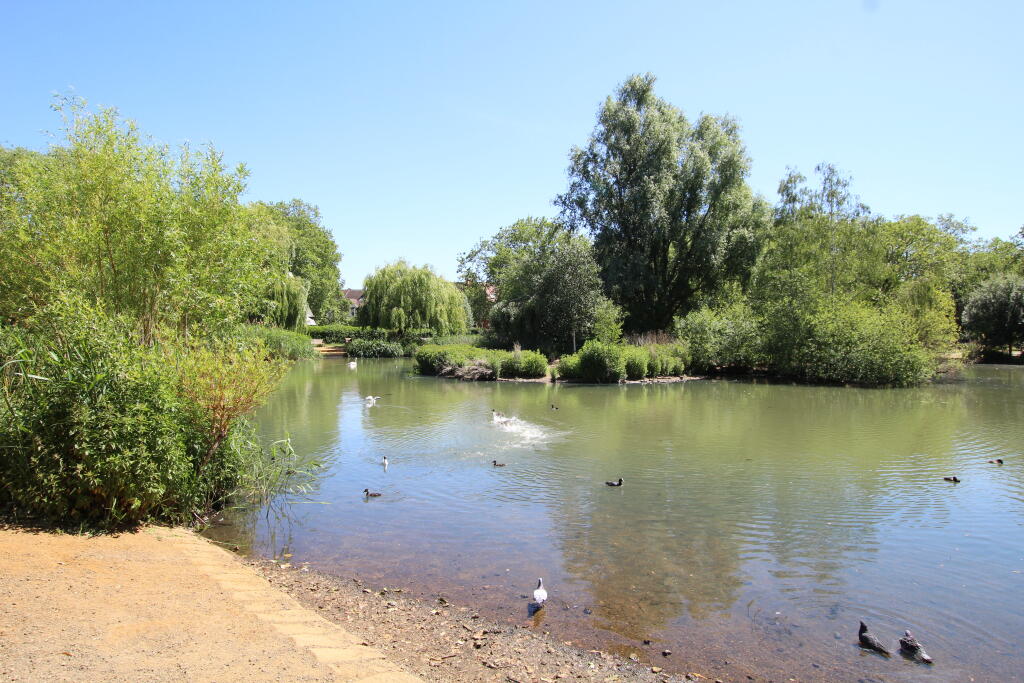 10 pond.JPG