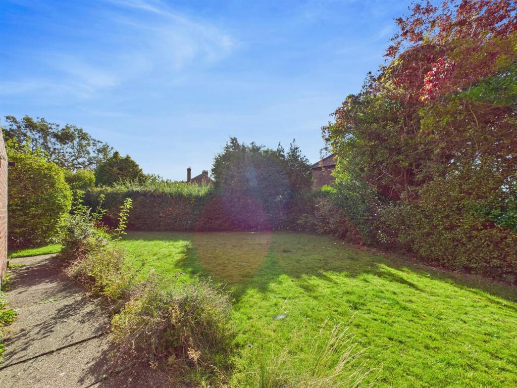 garden 1.jpg