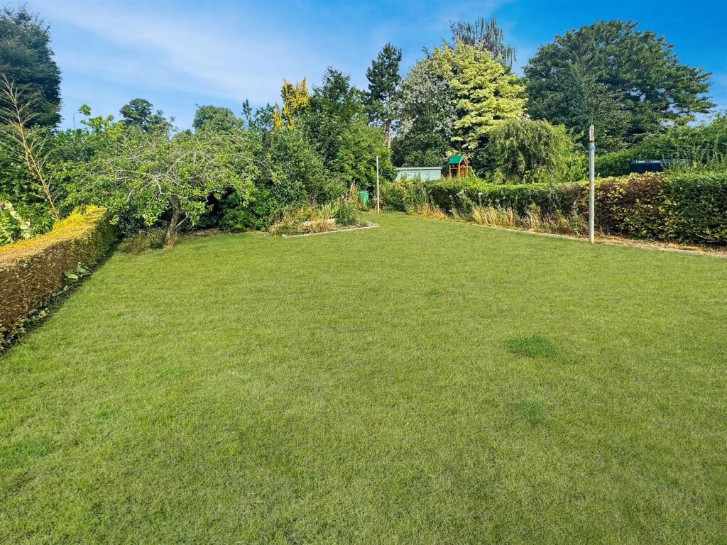garden 1.jpg