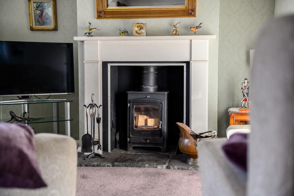 Log Burner 
