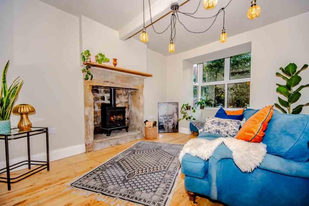 Ted &amp; Tortois...