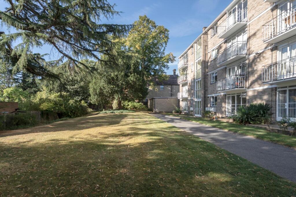 DSC02650-Edit copy.jpg