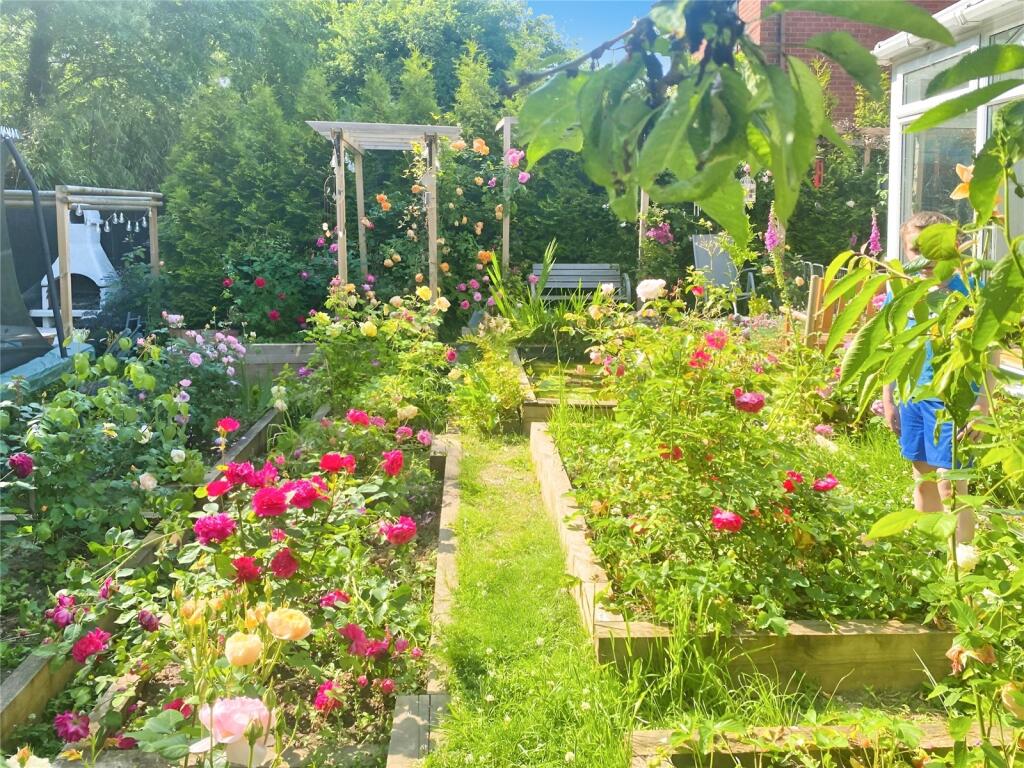 Garden ( Summer)