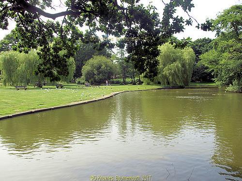 Ballard Lake &amp; Water Meadow