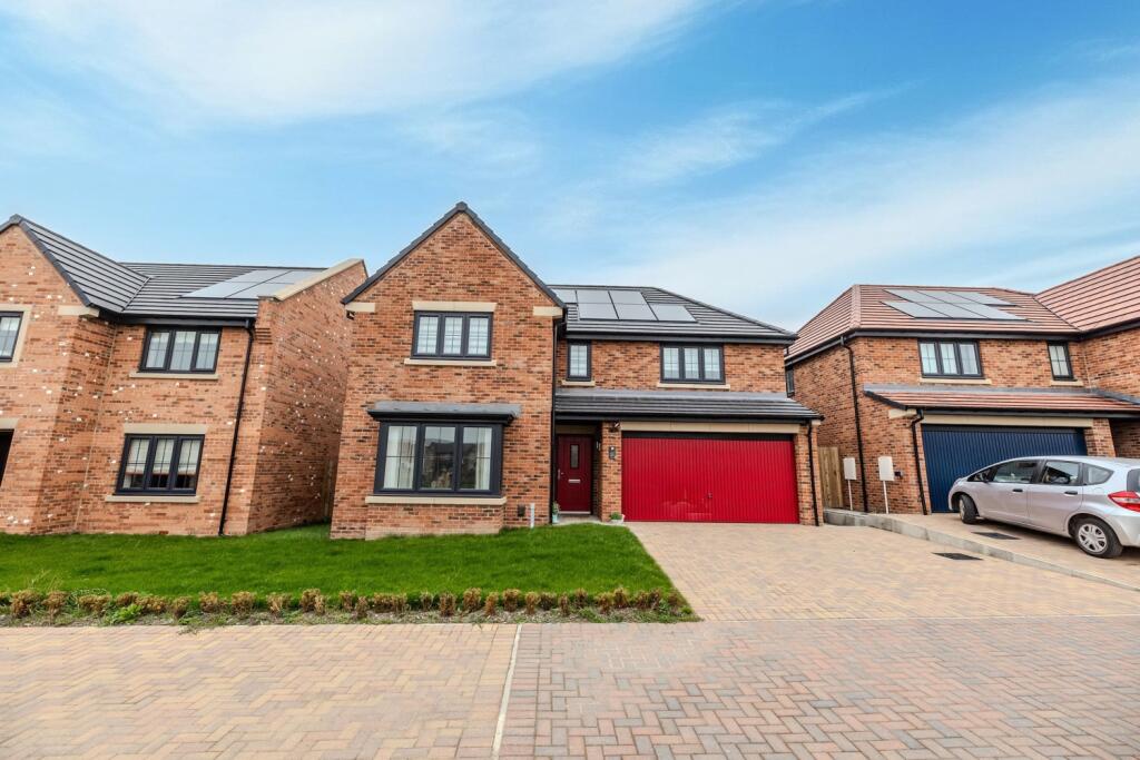 S.41HallChaseNE51DA-33