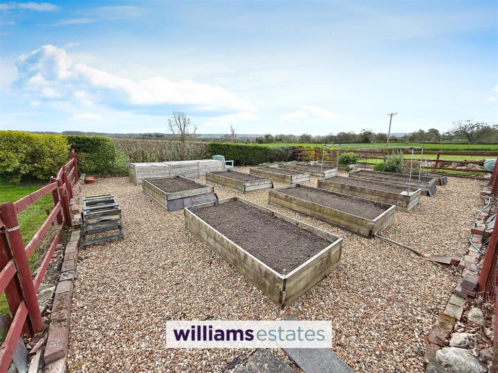 Vegetable Plot