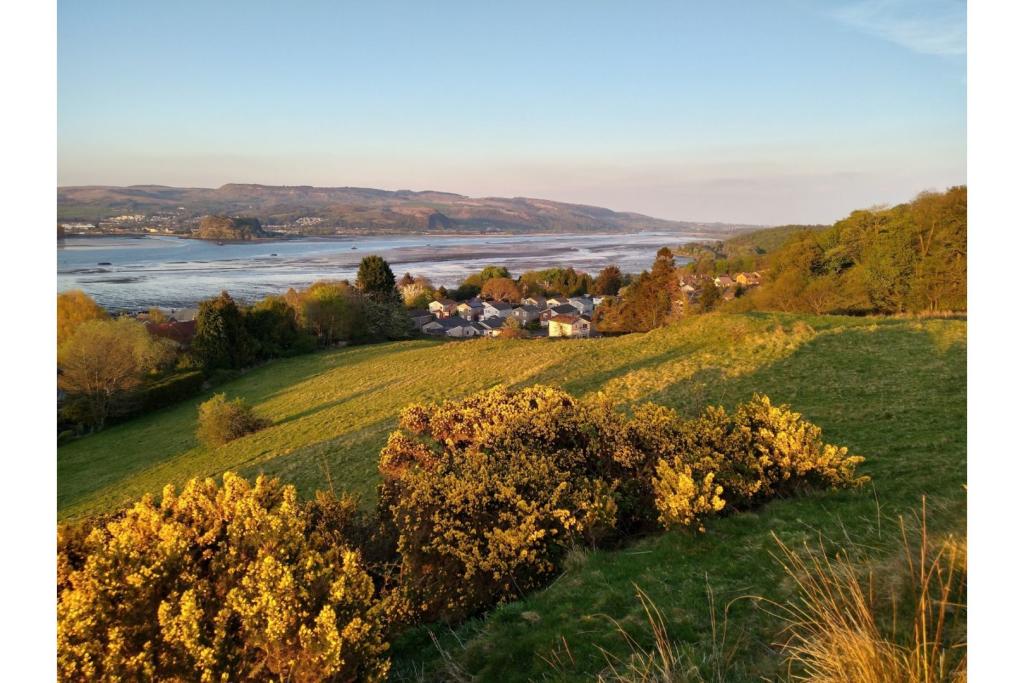 Local Area