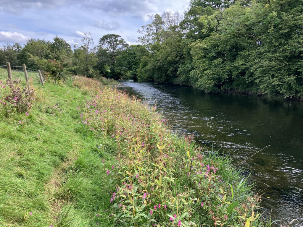 Fishing Rights for Auction