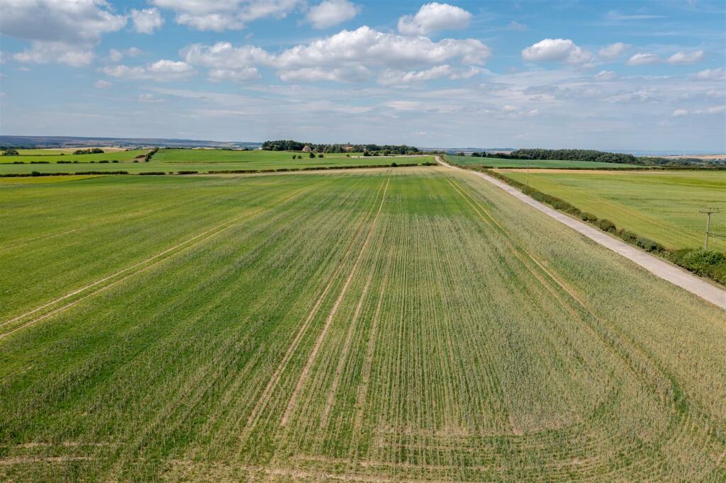 DJI_0890-HDR.jpg