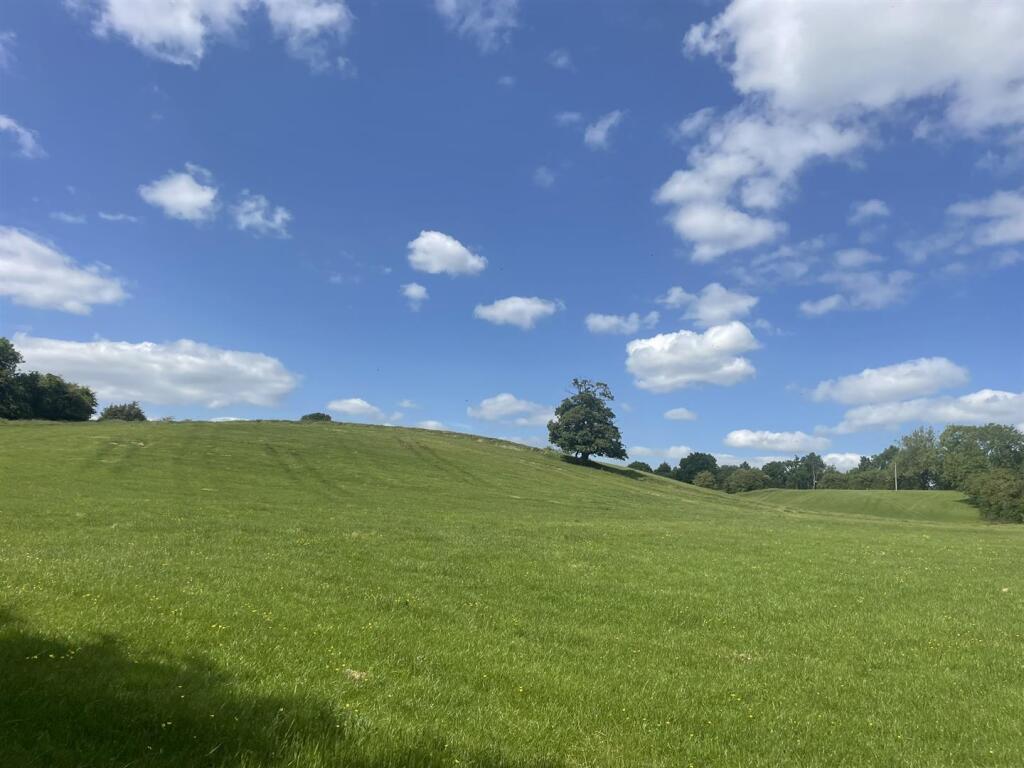 Lot 5