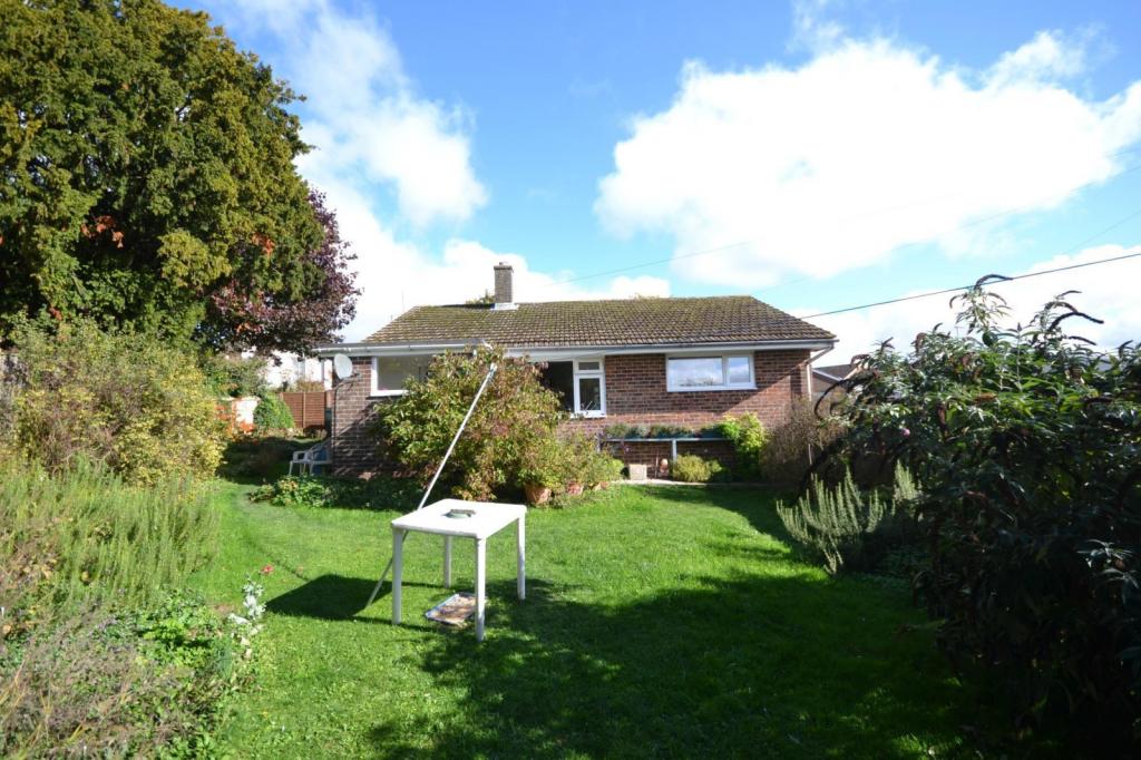 Garden 1