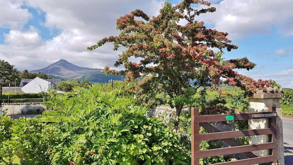 Goatfell view