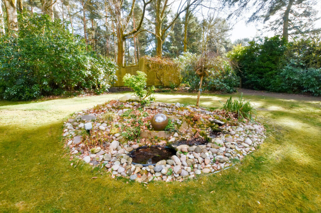 Water Feature