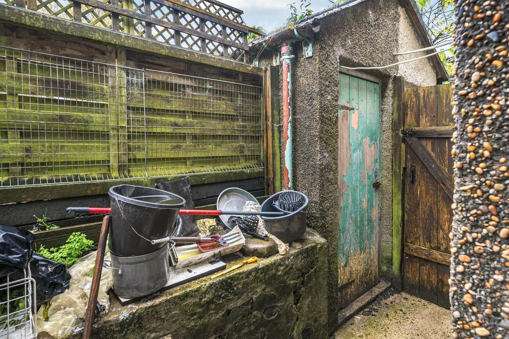 Rear Yard