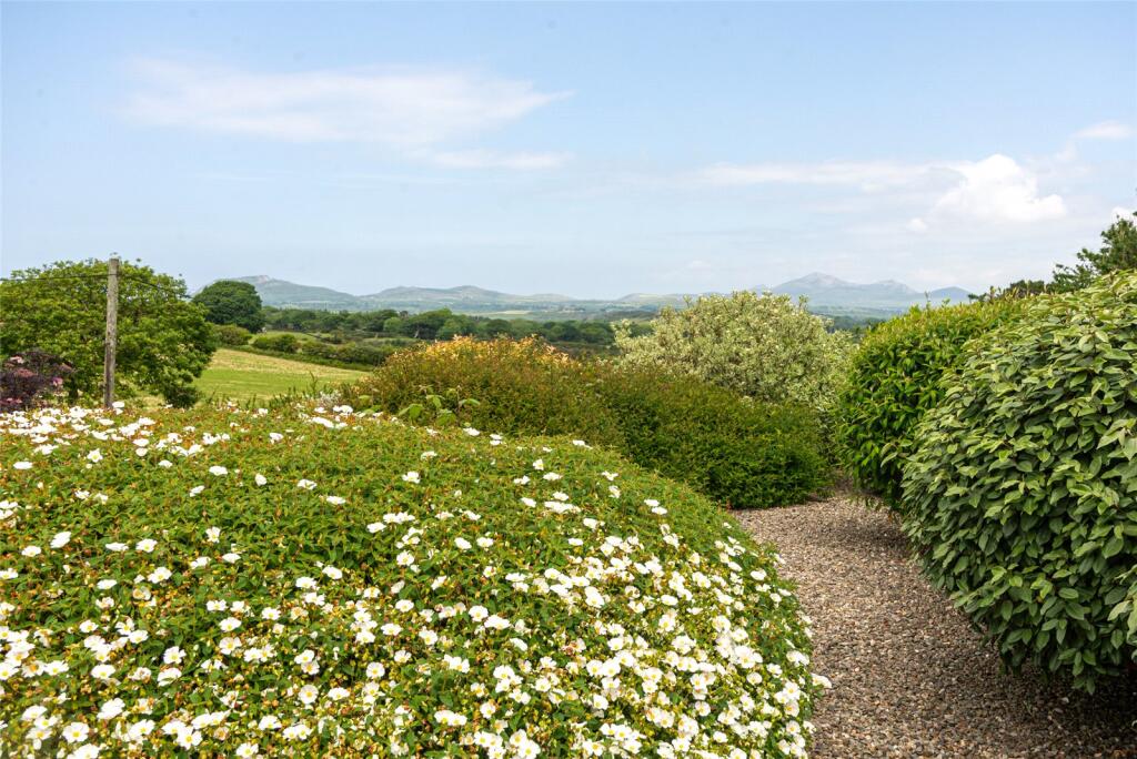 Picture No. 26