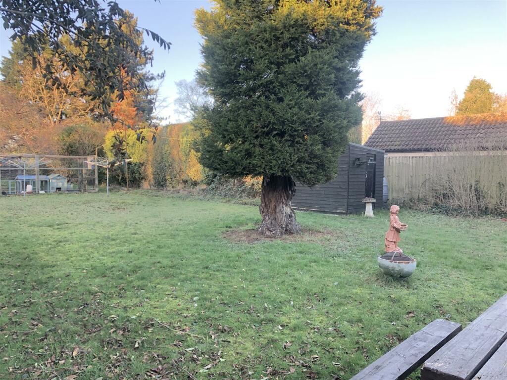 communal rear garden.jpg