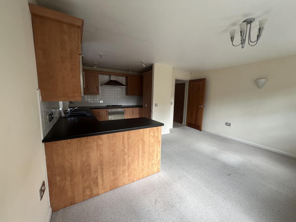 IMG 0773 T202501161238.jpeg