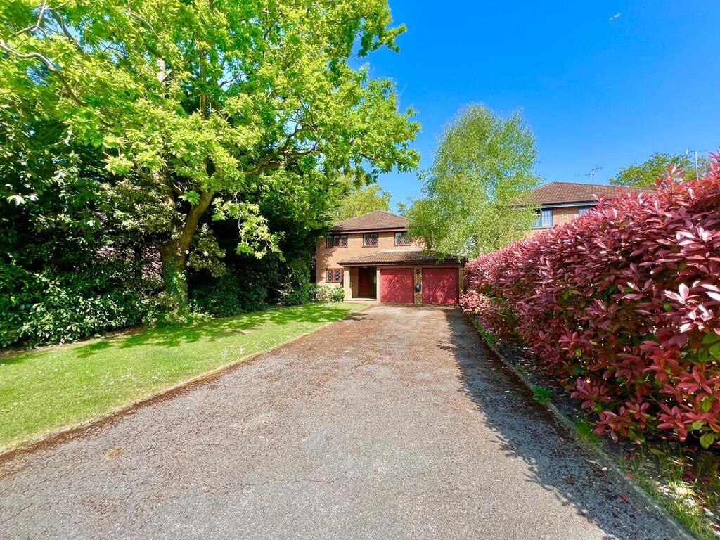 52c4836c-408c-4e2...