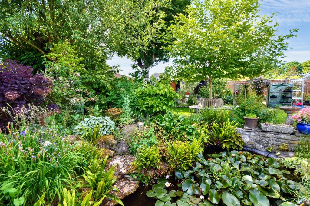 Pond