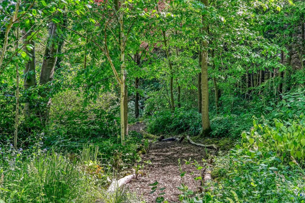 img_1067_41 copy.jpg