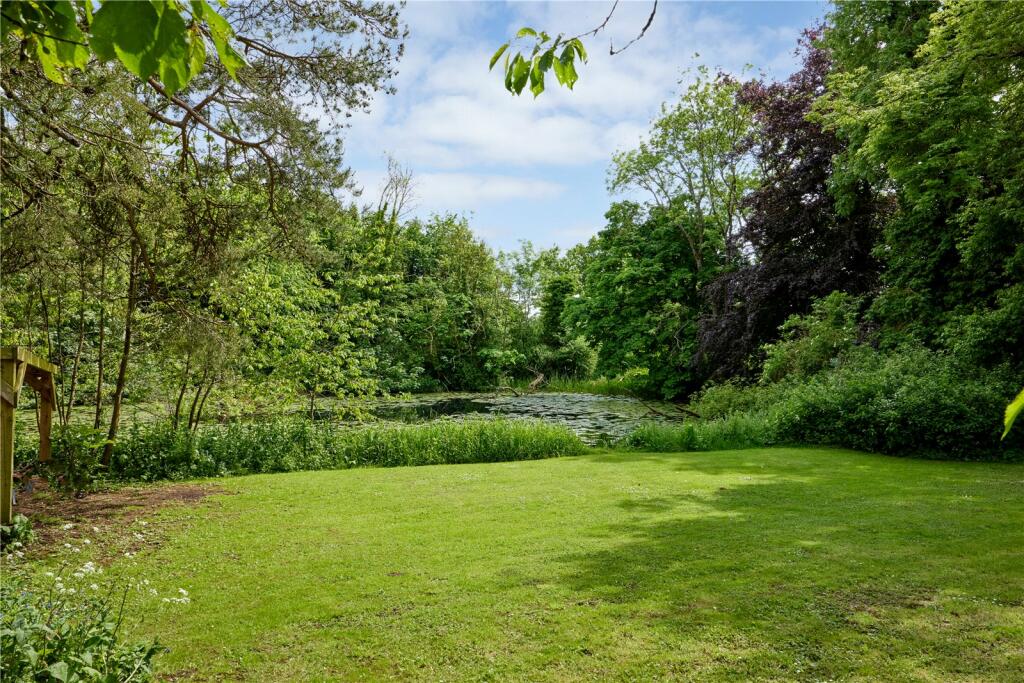 Pond